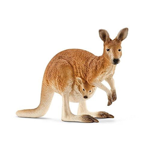 SHL14756 - Kangoeroe - 1