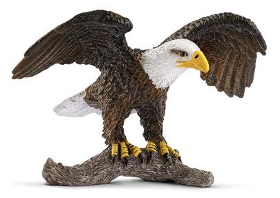 SHL14780 - Amerikaanse zeearend - 1