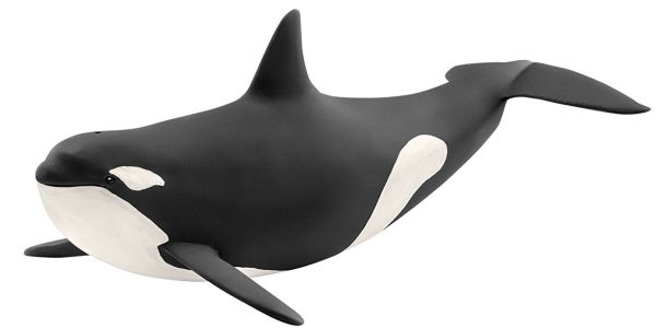SHL14807 - orka - 1