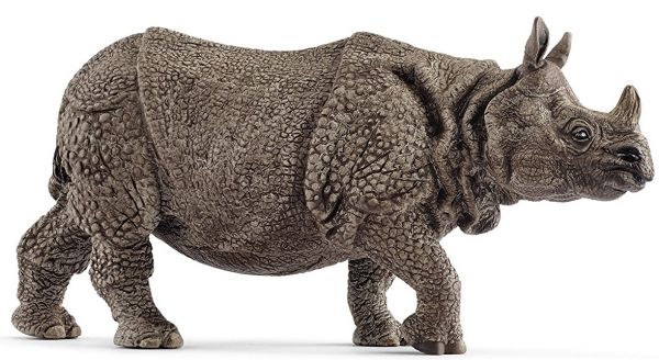 SHL14816 - Indische neushoorn - 1