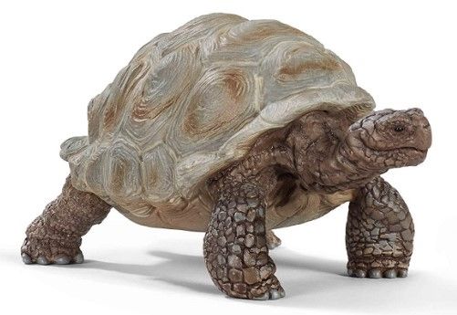 SHL14824 - reuzenschildpad - 1