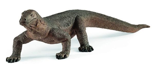 SHL14826 - Komodovaraan - 1