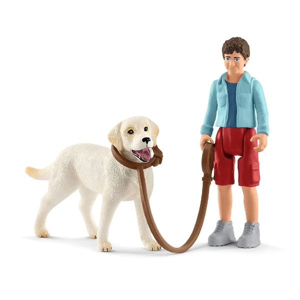 SHL42478 - Lopen met Labrador Retriever - 1