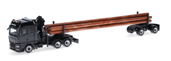 HER320580 - MAN TGX GX 6x4 houttransport WALTER HOLZTRANSPORTE - 1
