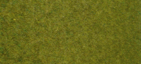 HEK1861 - Vloerkleed van wild gras bos 45x17 cm - 1