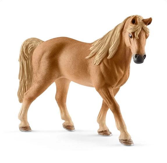 SHL13833 - Tennessee Walker merrie - 1