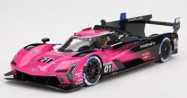 TS0611 - CADILLAC Serie-V #1 Petit Le Mans 2024 S.BOURDAIS / R.VAN DER ZANDE / S.DIXON - 1
