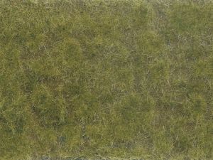 NOC07254 - Groen/bruin bladgroen 12x18 cm