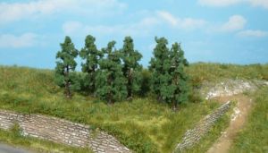 HEK1171 - 6 perenbomen 6 cm