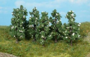 HEK1172 - 6 Perenbomen 6 cm