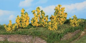 HEK11800 - 6 Forsythiastruiken 3-6 cm