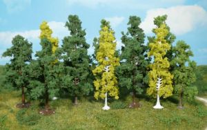 HEK1410 - 12 Loofbomen 7-12 cm