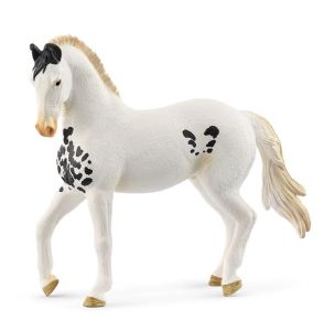 SHL14898 - Marwari Hengst