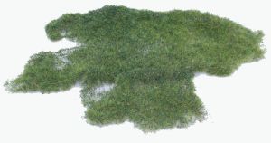 HEK1573 - Realistisch moeras wild gras - 28 x 14 cm