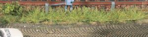 HEK1816 - 8 Lente grasstroken 10 mm