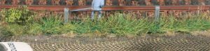 HEK1817 - 8 Zomergrasstroken 10 m