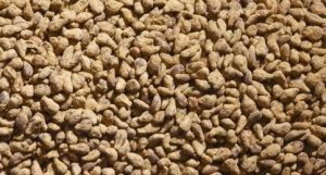 JUW23092 - 150g zak rode bieten