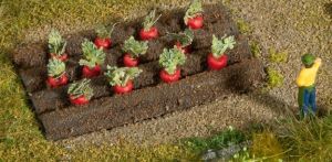 NOC13221 - Rode bieten planten