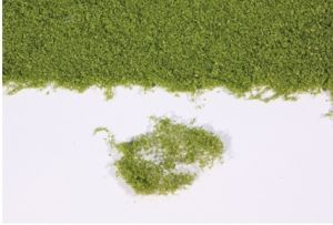 HEK15101 - Medium groen blad 28x14 cm