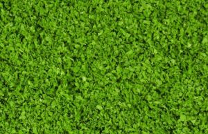 HEK15151 - Medium groen blad 200 ml