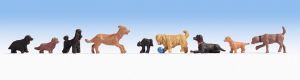 NOC15719 - verschillende honden