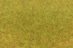 HEK3371 - Zak 75 g wild herfstgras 5-6 mm