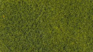 HEK3364 - Zak van 50 g van 2-3 mm lichtgroen flocking