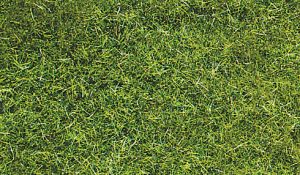 HEK3369 - Zak 75 g donkergroen wild gras 5-6 mm