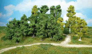 HEK1952 - 14 Loofbomen 9-18 cm