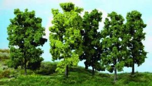HEK1990 - 5 Loofbomen 18 cm