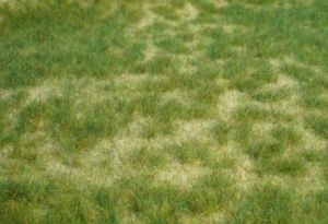 HEK1842 - Wild zomergrastapijt 45 x 17 cm