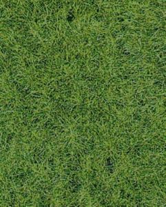 HEK1871 - Woodland wildgrastapijt 40 x 24 cm