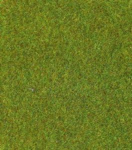 HEK30800 - Lichtgroene weidegrasmat - 40x24 cm