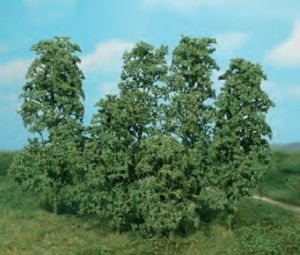 HEK1642 - Kavel van 12 natuurlijke bomen "Donkergroen"
