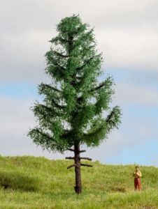 NOC20195 - Hoogstammige spar, 14 cm