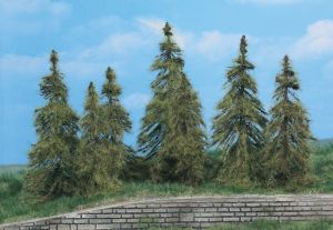HEK2174 - 7 Lariksbomen 7-11 cm