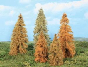 HEK2179 - 5 Herfstlariks 14-18 cm