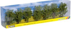 NOC25088 - 7 bladverliezende bomen, 8 cm