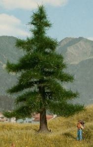NOC21810 - Nordmann boom 12 cm