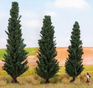 NOC21998 - 3 Cipres 10; 11 en 13 cm