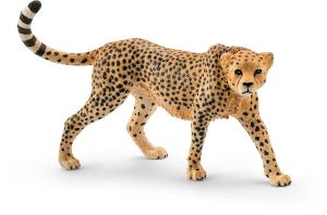 SHL14746 - vrouwelijke cheeta