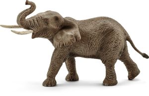 SHL14762 - Mannelijke Afrikaanse olifant