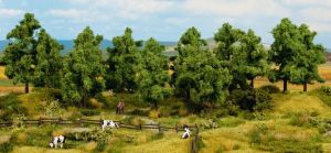 NOC24601 - 16 Bladbomen 10 tot 14 cm