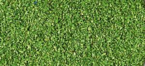 HEK3301 - Lichtgroen vlokmateriaal - 40 g