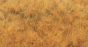 HEK33544 - Grasvezel vroege herfst 5-6 mm - 75g