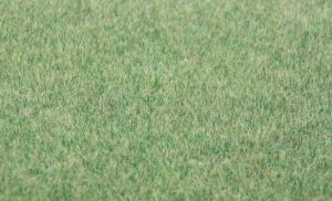 HEK33542 - Donkergroen gras stroomden 75 g. 5-6 mm