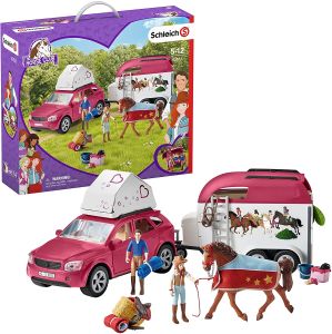 SHL42535 - Geweldige paardrijtocht met de auto plus trailer