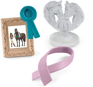 SHL42538 - Toernooi Accessoires