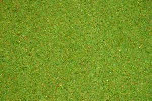 NOC00270 - Bloemrijke grasmat 120x60cm.