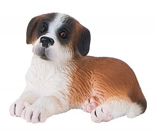 BUL65431 - Sint Bernard puppy - Liggend